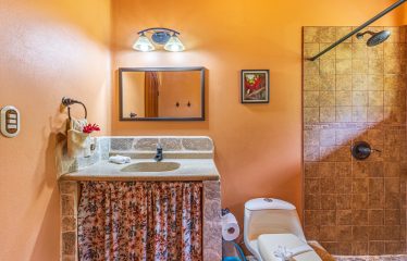 PROPERTY WITH TWO BEDROOMS IN THE MIDDLE OF THE NATURE, IN SAVEGRE – 9 ACRES