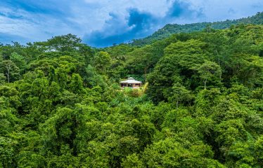 PROPERTY WITH TWO BEDROOMS IN THE MIDDLE OF THE NATURE, IN SAVEGRE – 9 ACRES