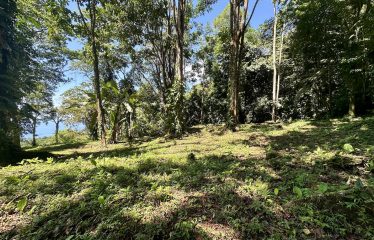 BUILDING PROPERTY WITH OCEANFRONT VIEWS, IN ESCALERAS – 5.8 ACRES