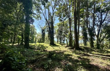 BUILDING PROPERTY WITH OCEANFRONT VIEWS, IN ESCALERAS – 5.8 ACRES