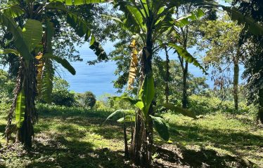 BUILDING PROPERTY WITH OCEANFRONT VIEWS, IN ESCALERAS – 5.8 ACRES