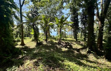 BUILDING PROPERTY WITH OCEANFRONT VIEWS, IN ESCALERAS – 5.8 ACRES