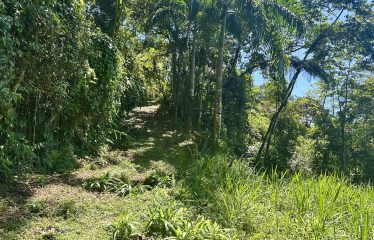 BUILDING PROPERTY WITH OCEANFRONT VIEWS, IN ESCALERAS – 5.8 ACRES