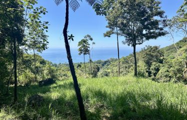 BUILDING PROPERTY WITH OCEANFRONT VIEWS, IN ESCALERAS – 5.8 ACRES