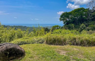 PROPERTY WITH OCEAN VIEWS, NEAR TO THE UVITA WATERFALL, IN UVITA – 3.19 ACRES