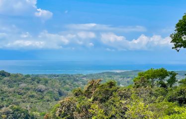 PROPERTY WITH OCEAN VIEWS, NEAR TO THE UVITA WATERFALL, IN UVITA – 3.19 ACRES