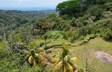 PROPERTY WITH OCEAN VIEWS, NEAR TO THE UVITA WATERFALL, IN UVITA – 3.19 ACRES