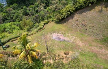 PROPERTY WITH OCEAN VIEWS, NEAR TO THE UVITA WATERFALL, IN UVITA – 3.19 ACRES