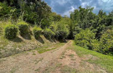 PROPERTY WITH OCEAN VIEWS, NEAR TO THE UVITA WATERFALL, IN UVITA – 3.19 ACRES