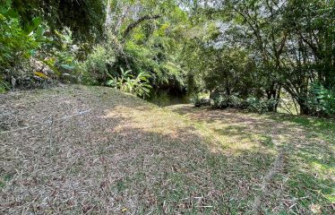 PROPERTY WITH OCEAN VIEWS, NEAR TO THE UVITA WATERFALL, IN UVITA – 3.19 ACRES