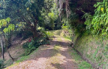 PROPERTY WITH OCEAN VIEWS, NEAR TO THE UVITA WATERFALL, IN UVITA – 3.19 ACRES