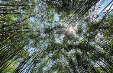 PROPERTY WITH OCEAN VIEWS, NEAR TO THE UVITA WATERFALL, IN UVITA – 3.19 ACRES