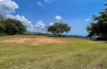 BUILDING PROPERTY WITH OCEAN VIEWS, NEAR TO THE WATERFALL, IN UVITA – 1.93 ACRES