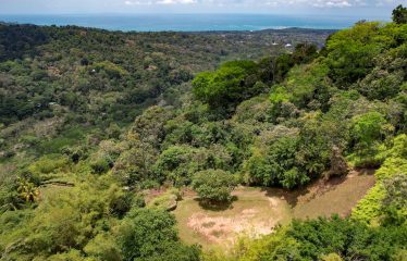 BUILDING PROPERTY WITH OCEAN VIEWS, NEAR TO THE WATERFALL, IN UVITA – 1.93 ACRES