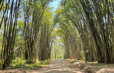 BUILDING PROPERTY WITH OCEAN VIEWS, NEAR TO THE WATERFALL, IN UVITA – 1.93 ACRES