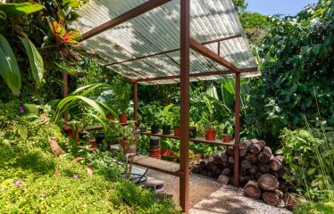 CASA POR FIN – ICONIC OCEAN VIEW ESTATE WITH PRIVATE RAINFOREST SANCTUARY