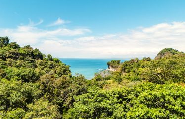 CASA JAVA PROPERTY WITH EIGHT BEDROOM WITH OCEAN VIEWS, IN MANUEL ANTONIO – 0.20 ACRES