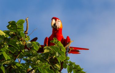 PROPERTY WITH TWELVE BEDROOMS IN A GATED COMMUNITY IN QUEPOS – 1.51 ACRES