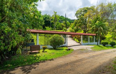 MOUNTAIN  PROPERTY WITH FOUR BEDROOMS, IN OJOCHAL – 1.83 ACRES