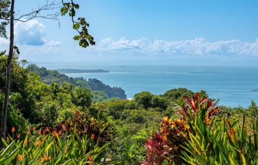 PROPERTY WITH THREE BEDROOMS AND OCEAN FRONT VIEWS, IN PUERTO NUEVO – 5.8 ACRES