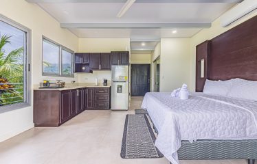 LUXURY PROPERTY WITH SIX BEDROOMS, NEAR TO THE TOWN – 1.23 ACRES