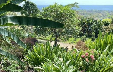 PROPERTY WITH OCEAN VIEWS NEAR TO EVERYTHING, IN JARDINES DEL MORETE UVITA – 0.34 ACRES