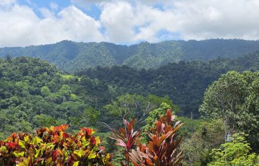 PROPERTY WITH FOUR BEDROOMS WITH OCEAN VIEWS, IN OJOCHAL – 0.54 ACRES