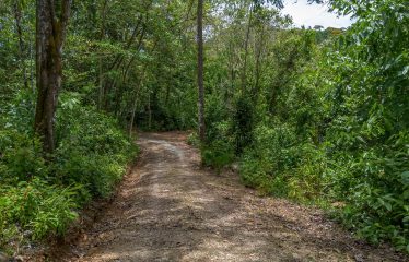 CASA OROPENDULA PROPERTY WITH THREE BEDROOMS, IN BARU – 3.44 ACRES