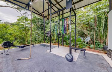 CASA OROPENDULA PROPERTY WITH THREE BEDROOMS, IN BARU – 3.44 ACRES