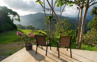 DEVELOPMENT PROPERTY WITH ONE BEDROOM HOUSE, IN THE HIGHEST OF PLATANILLO – 148 ACRES