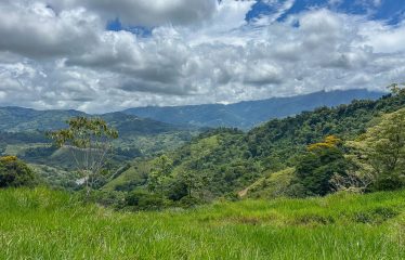 DEVELOPMENT PROPERTY WITH ONE BEDROOM HOUSE, IN THE HIGHEST OF PLATANILLO – 148 ACRES