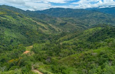 DEVELOPMENT PROPERTY WITH ONE BEDROOM HOUSE, IN THE HIGHEST OF PLATANILLO – 148 ACRES