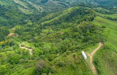 DEVELOPMENT PROPERTY WITH ONE BEDROOM HOUSE, IN THE HIGHEST OF PLATANILLO – 148 ACRES