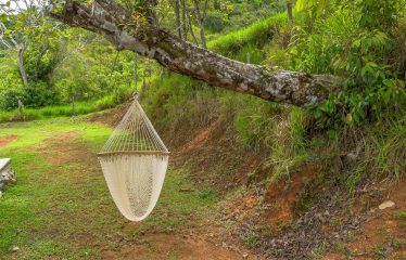 DEVELOPMENT PROPERTY WITH ONE BEDROOM HOUSE, IN THE HIGHEST OF PLATANILLO – 148 ACRES