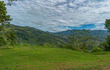 DEVELOPMENT PROPERTY WITH ONE BEDROOM HOUSE, IN THE HIGHEST OF PLATANILLO – 148 ACRES