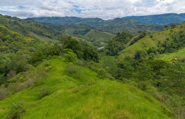 DEVELOPMENT PROPERTY WITH ONE BEDROOM HOUSE, IN THE HIGHEST OF PLATANILLO – 148 ACRES