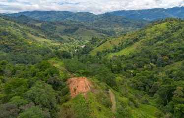 DEVELOPMENT PROPERTY WITH ONE BEDROOM HOUSE, IN THE HIGHEST OF PLATANILLO – 148 ACRES