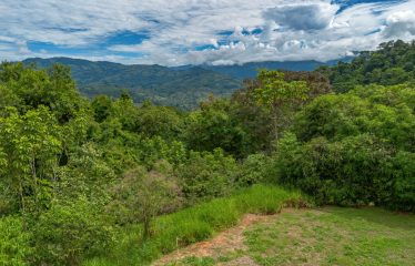 DEVELOPMENT PROPERTY WITH ONE BEDROOM HOUSE, IN THE HIGHEST OF PLATANILLO – 148 ACRES