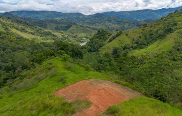 DEVELOPMENT PROPERTY WITH ONE BEDROOM HOUSE, IN THE HIGHEST OF PLATANILLO – 148 ACRES
