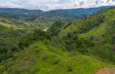 DEVELOPMENT PROPERTY WITH ONE BEDROOM HOUSE, IN THE HIGHEST OF PLATANILLO – 148 ACRES