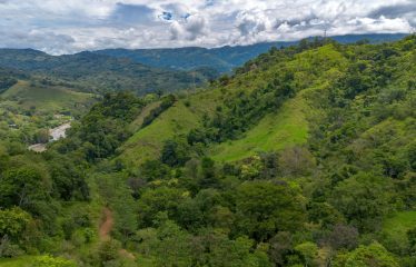 DEVELOPMENT PROPERTY WITH ONE BEDROOM HOUSE, IN THE HIGHEST OF PLATANILLO – 148 ACRES