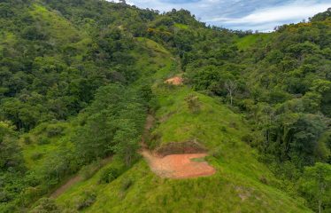 DEVELOPMENT PROPERTY WITH ONE BEDROOM HOUSE, IN THE HIGHEST OF PLATANILLO – 148 ACRES