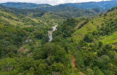 DEVELOPMENT PROPERTY WITH ONE BEDROOM HOUSE, IN THE HIGHEST OF PLATANILLO – 148 ACRES