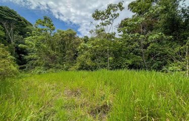 DEVELOPMENT PROPERTY WITH ONE BEDROOM HOUSE, IN THE HIGHEST OF PLATANILLO – 148 ACRES