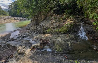 DEVELOPMENT PROPERTY WITH ONE BEDROOM HOUSE, IN THE HIGHEST OF PLATANILLO – 148 ACRES