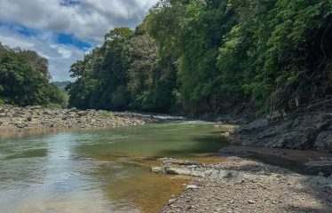 DEVELOPMENT PROPERTY WITH ONE BEDROOM HOUSE, IN THE HIGHEST OF PLATANILLO – 148 ACRES