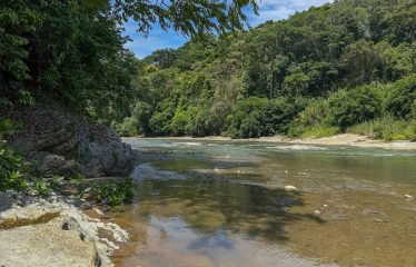 DEVELOPMENT PROPERTY WITH ONE BEDROOM HOUSE, IN THE HIGHEST OF PLATANILLO – 148 ACRES