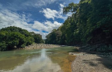 DEVELOPMENT PROPERTY WITH ONE BEDROOM HOUSE, IN THE HIGHEST OF PLATANILLO – 148 ACRES