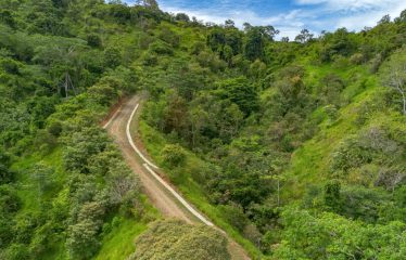 DEVELOPMENT PROPERTY WITH ONE BEDROOM HOUSE, IN THE HIGHEST OF PLATANILLO – 148 ACRES