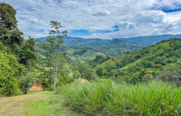 DEVELOPMENT PROPERTY WITH ONE BEDROOM HOUSE, IN THE HIGHEST OF PLATANILLO – 148 ACRES